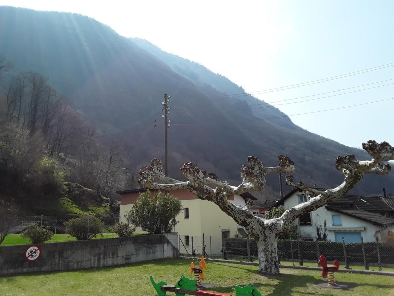 Holidays Homes Il Folletto Quartino Bagian luar foto